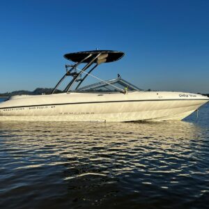 Bayliner 215 [2002]