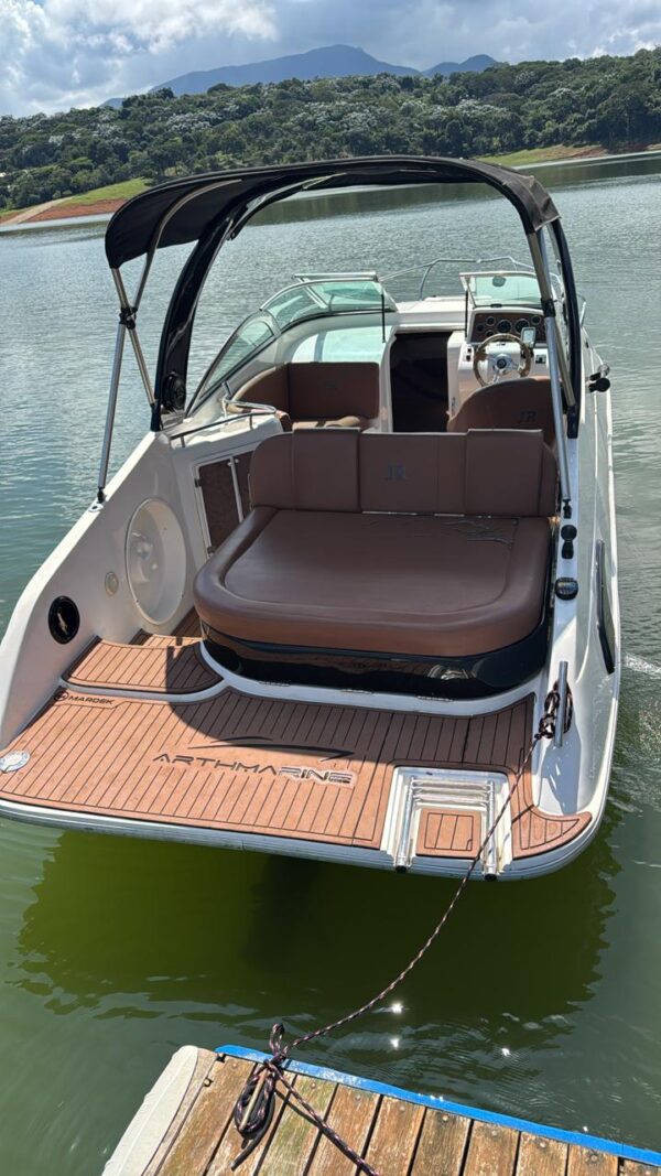 Arth Marine 255 [2009] - Imagem 3
