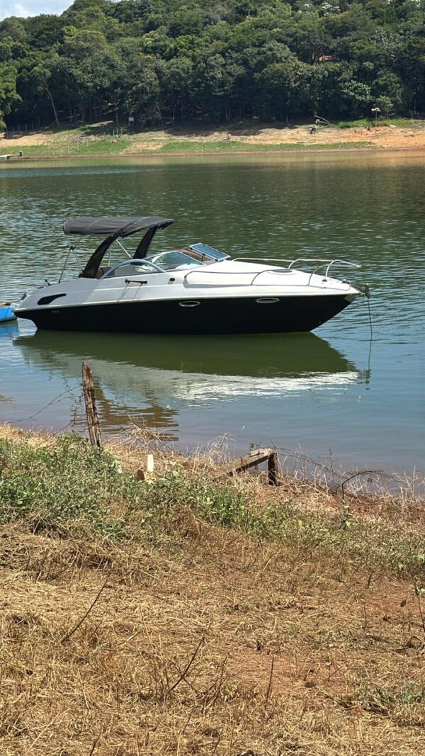 Arth Marine 255 [2009] - Imagem 4