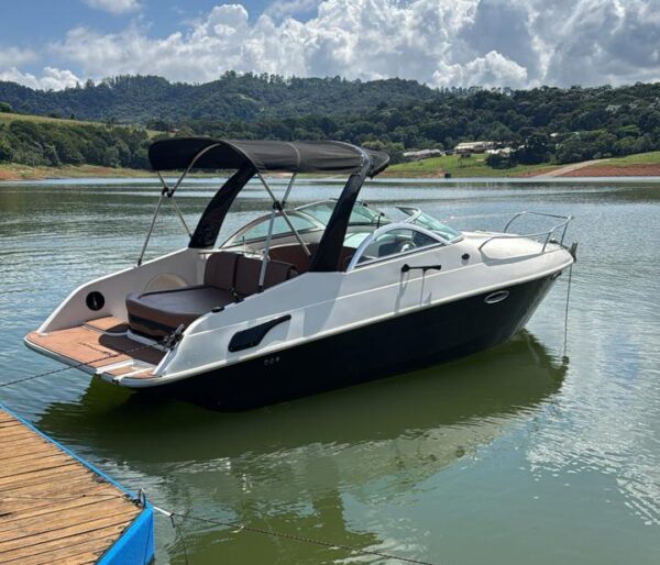 Arth Marine 255 [2009]