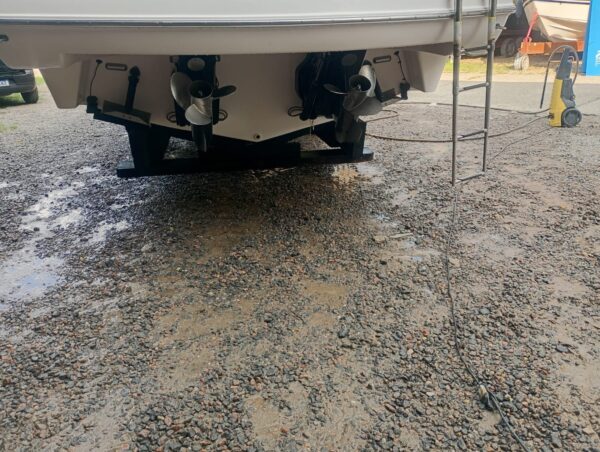 Focker 31 GT [2013] - Imagem 7