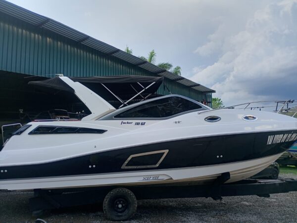 Focker 31 GT [2013]